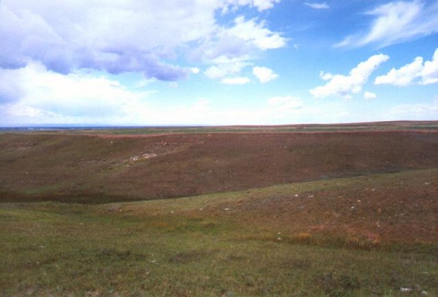 view to the west (the ravine over the barbed wire)