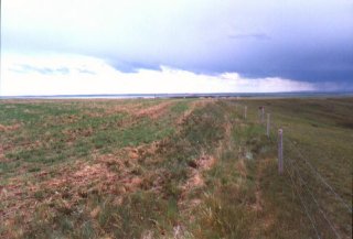 #1: view to the south (Keho Lake in the distance)