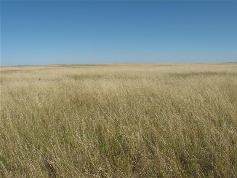 East from the confluence