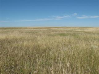 #1: Looking North