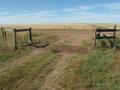 #6: Looking North through the gate off Township Road 240 