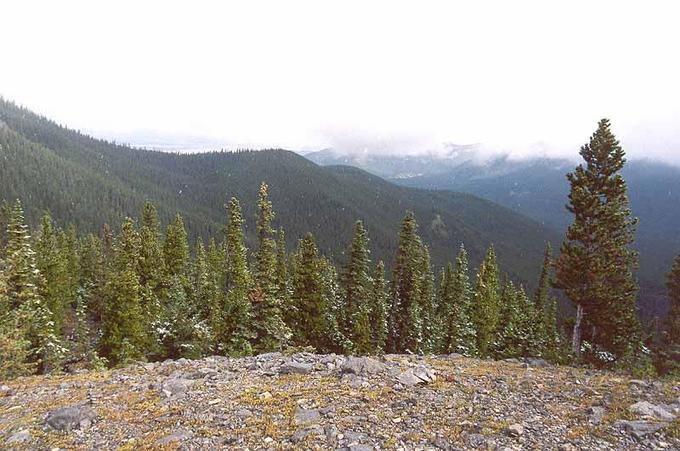 The confluence area, down in the Lusk Creek Valley, from Baldy Pass