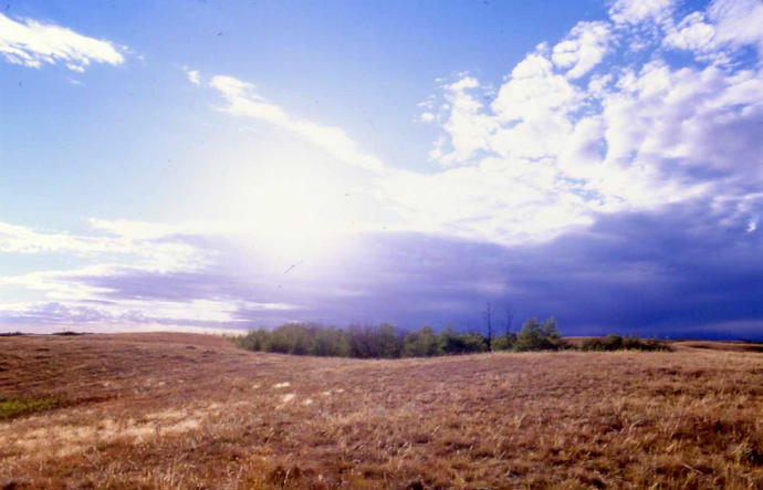 The view west from the confluence.