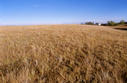 #2: The view east from the confluence.