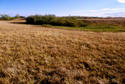 #3: The view south from the confluence.