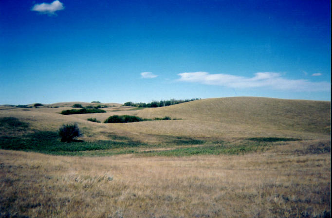 Looking north from confluence