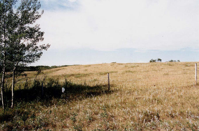 Looking west across the fence to another field