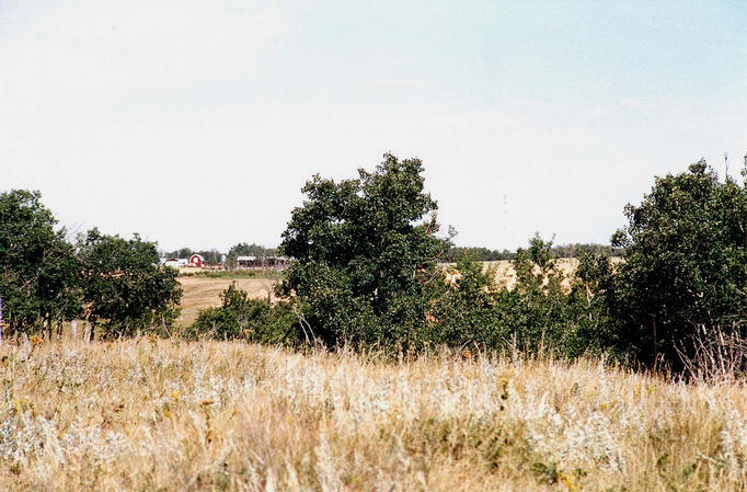 The view north includes a grainfield and a farmyard.