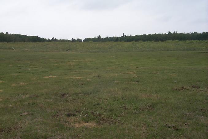 Looking south from the confluence.