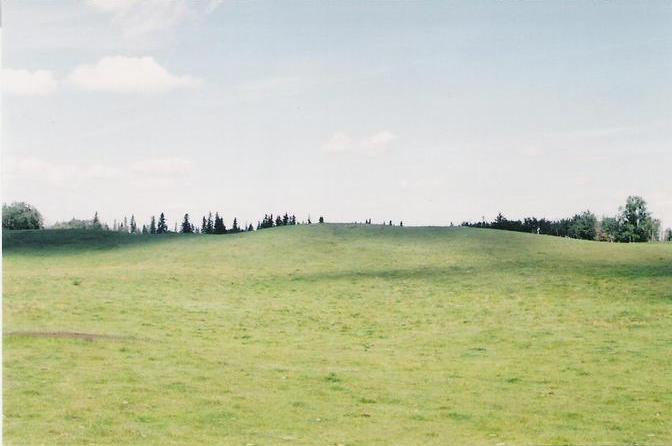 Looking North at confluence