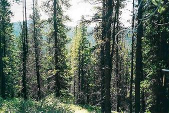 #1: Looking South from the Confluence Point