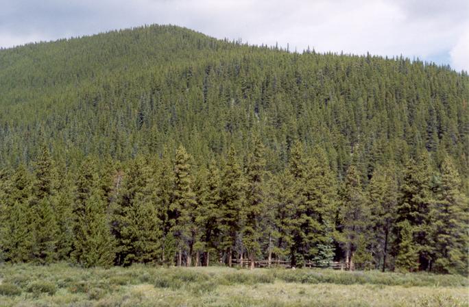 The confluence is near the centre of this photograph.