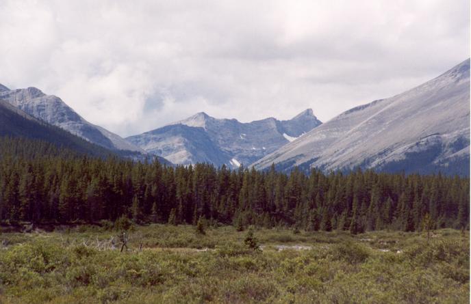 The valley continues past the confluence into the mountains.