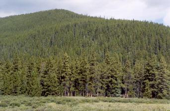 #1: The confluence is near the centre of this photograph.