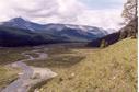 #5: The valley near the confluence has extensive meadows.