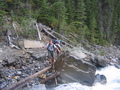 #6: Amery Creek very seldom permitted crossing.  I'm not stupid, and did not actually attempt to walk across this wet log above an ice cold raging torrent.