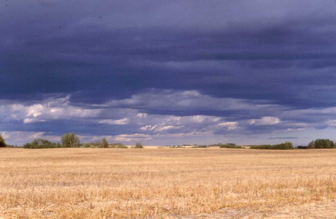 The view north from the confluence.