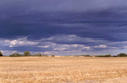 #2: The view north from the confluence.