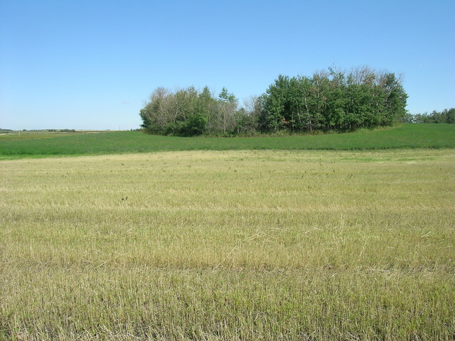 Looking north from the confluence.