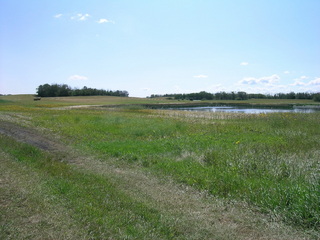 #1: The confluence is just past the hay bales at the left of the photo.