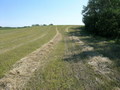 #3: Looking east from the confluence.