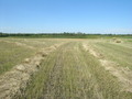 #5: Looking west from the confluence.