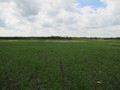 #4: 53N113W - Facing West (you can see where we parked the car)