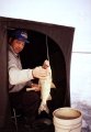#5: A fisherman displaying the fine whitefish he caught, 1.6km from the confluence.