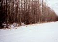 #3: North-South oriented fenceline at the edge of the woodlot, looking north-west.  The confluence is 140m into the bush.