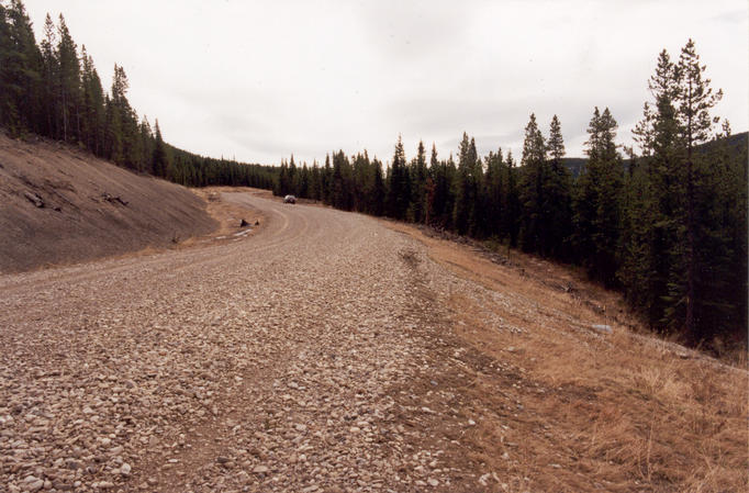 The lonely Pembina River road