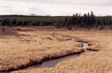 #7: Chief Creek, 10 km from the confluence