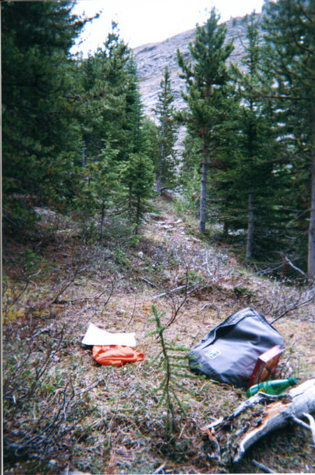 View south. Colin Hut trail in middle background