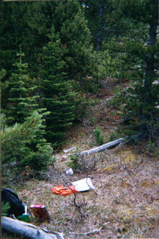 #1: General View. The confluence is marked by the GPS on the orange vest