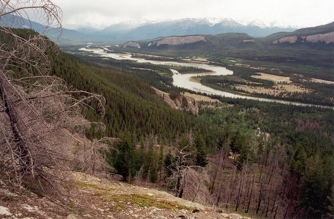 Looking south from the highpoint, 300 meters above the Athabasca Valley