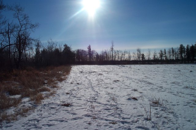 Looking south on a beautiful winter day.