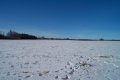 #4: Looking west across the field towards the road.