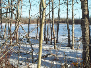 #1: Looking (east) at the confluence.