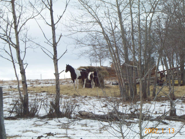 Many farms in the area.