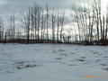 #3: Looking south.