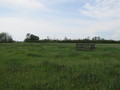 #4: 54N 114W - Facing West