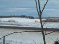 #5: A farm just northwest of the confluence.