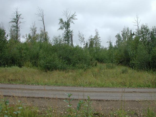 Road facing West +40m to confluence