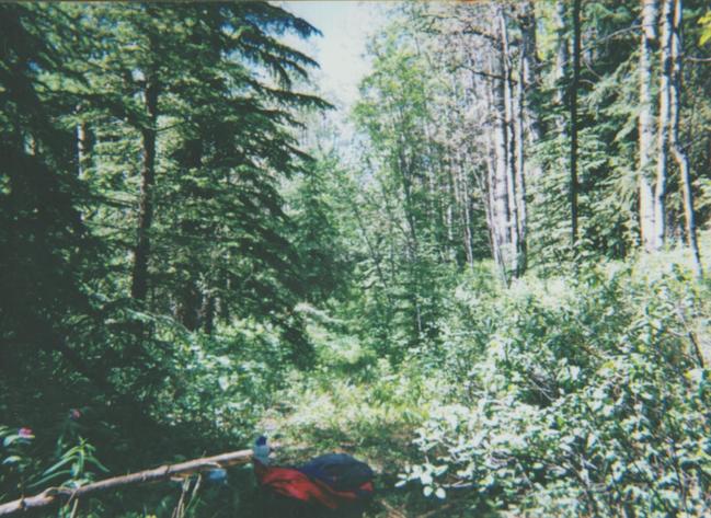 A better section of the "Prairie Trail" straight ahead.