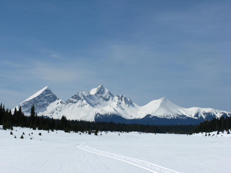 Looking NW up Cecilia Creek. Kakwa is beautiful country