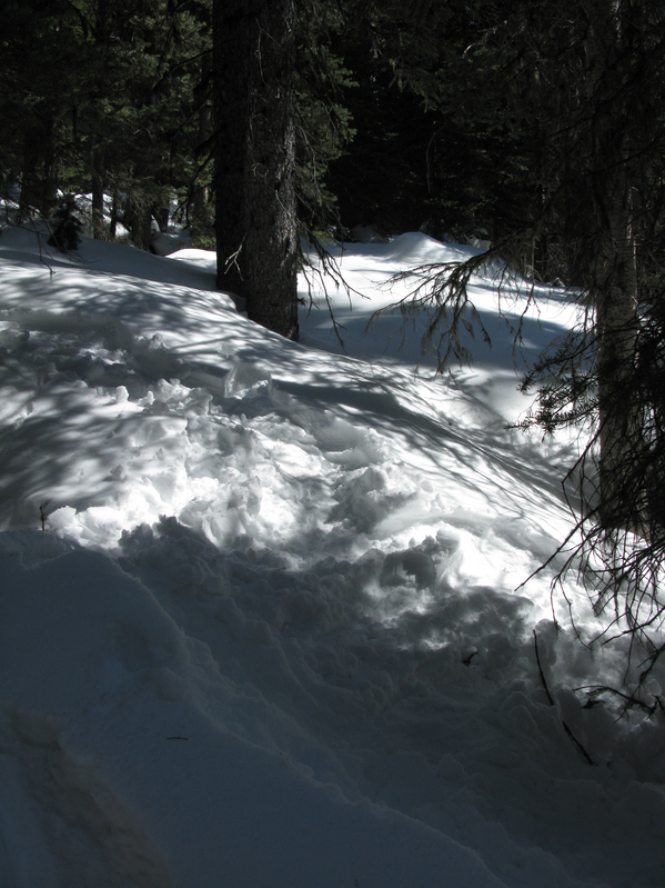 Another shot of the confluence from a slightly different angle, looking SW