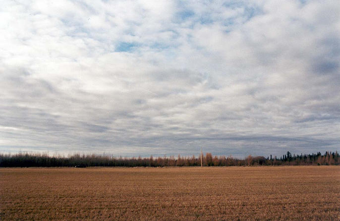 Stubble: The view west, toward Range Road 10 and my car