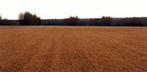 #3: Stubble: The view south, toward Township Road 694