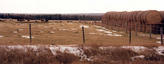#6: Hayburners (cattle) with traces of snow in the field