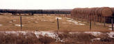 #6: Hayburners (cattle) with traces of snow in the field