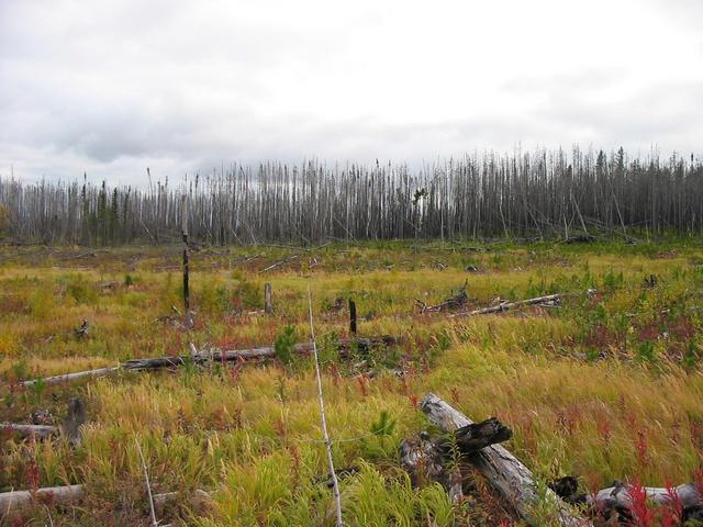 South view from point